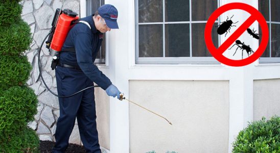 Çankaya Kemirgen İlaçlama böcek ilaçlama ve haşere kontrolü — ilaclama-tr.com